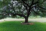 1005 Cimarron Hills Trl - Photo 32