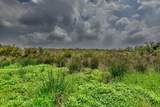 TBD (26 Acres) County Road 445 - Photo 24