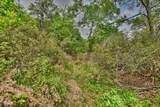 TBD (26 Acres) County Road 445 - Photo 26