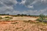 TBD (26 Acres) County Road 445 - Photo 29