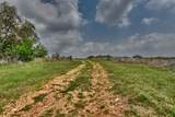 TBD (26 Acres) County Road 445 - Photo 31