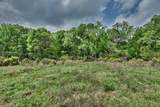 TBD (26 Acres) County Road 445 - Photo 33