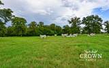 TBD Fm 908 (+/-657 Acres) - Photo 18