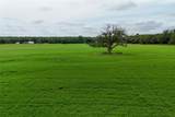 TBD Hwy 290 E Lot 1 - Photo 21