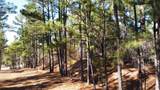 0 Pine Lodge Drive Lot 26 - Photo 3