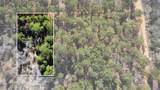 0 Pine Lodge Drive Lot 26 - Photo 8