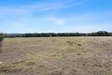 815 Holder Ln - Photo 16