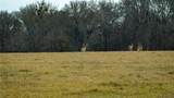 218 Brody Ln - Photo 6