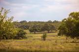 2609 Prochnow Rd - Photo 10