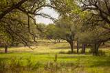 2609 Prochnow Rd - Photo 11