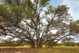 2609 Prochnow Rd - Photo 12