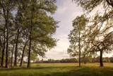 2609 Prochnow Rd - Photo 14