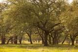 2609 Prochnow Rd - Photo 4