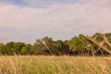 2609 Prochnow Rd - Photo 5