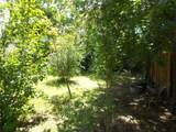 1405 Karen Ave - Photo 36