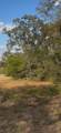 000 Carter Rd - Photo 2