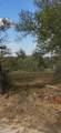 000 Carter Rd - Photo 9