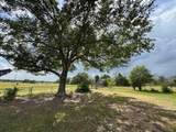 4317 Fm 955 Rd - Photo 24