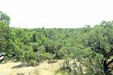 12600 Trail Driver St - Photo 13