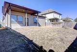 13129 Ditka Dr - Photo 30