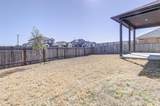 13129 Ditka Dr - Photo 32
