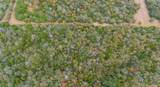 TBD County Rd - Photo 5