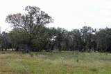 4585 County Road 108 - Photo 8