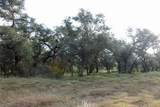 4585 County Road 108 - Photo 9