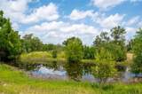 270 Dry Creek Rd - Photo 39