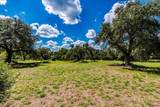 10299 Brangus Rd - Photo 6