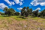 10299 Brangus Rd - Photo 7