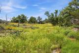 (Lot 30) Peninsula Dr - Photo 22