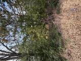 Lot 20 Flint Ridge St - Photo 1