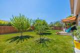 209 Frio River Trl - Photo 29
