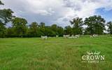 TBD Fm 908 (+/-1,057 Acres) - Photo 17