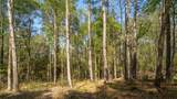 000 Bighorn Rd - Photo 16