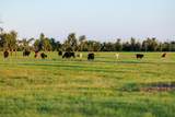 14087 Ranch Road 965 Highway - Photo 4