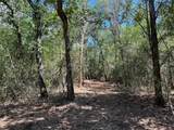 Lot 1 & 2 & 3 Old Lockhart Rd - Photo 2