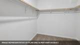25512 Timber Drop Ln - Photo 38