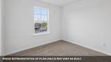 25512 Timber Drop Ln - Photo 9