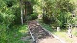 2501 Woodbine Cir - Photo 10