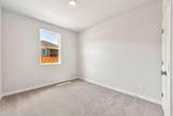 12000 Ellena Cv - Photo 21