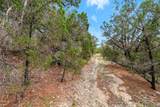 14618 Mansfield Dam Ct - Photo 19