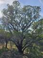 6438 Shaw Dr - Photo 16