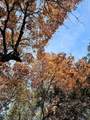 6438 Shaw Dr - Photo 22