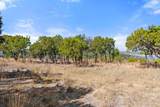 10 Thurman Bluff Dr - Photo 20
