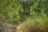 TBD Kipahulu Dr - Photo 25