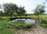 FM 2294 Fm 2294 - Photo 1