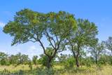 620 Rio Vista Rd - Photo 29
