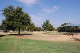 16809 Ennis Trl - Photo 21